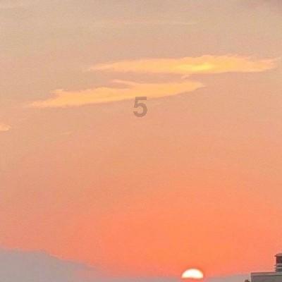 有哪些东西是养猫家庭必备的神器?知识问答网页,专业解答你的问题